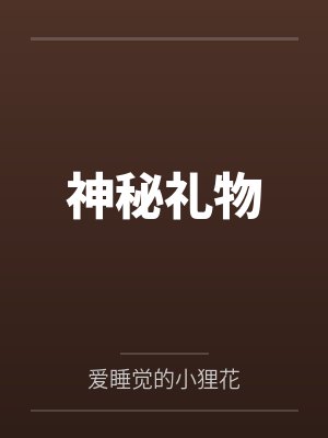 神秘礼物