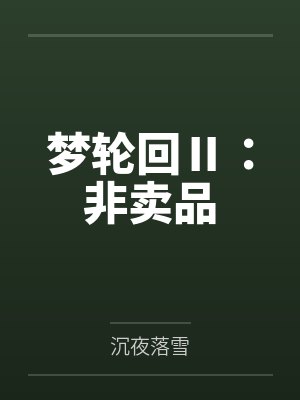 梦轮回Ⅱ：非卖品