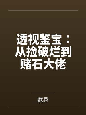 透视鉴宝:从捡破烂到赌石大佬